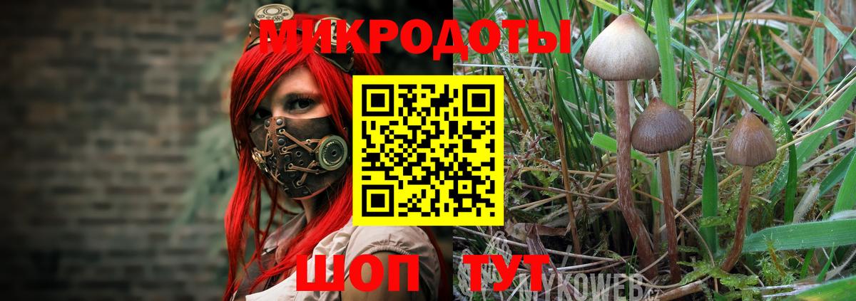 Псилоцибиновые грибы Psilocybine cubensis  купить наркотики сайты  Кисловодск  Псилоцибиновые грибы Magic Shrooms  Вход с VPN 